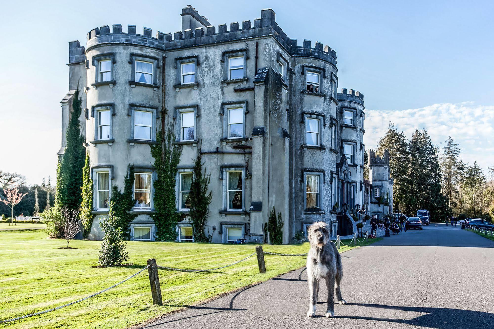 Hotel Ballyseede Castle Trá Lí Esterno foto